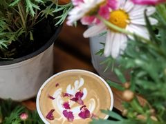 -Beans Solo豆号咖啡(百家湖花园店)