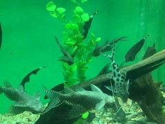 -常州海昌海洋探索馆