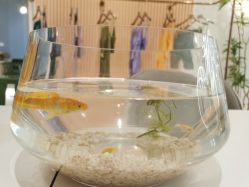 -水沐莲清瑜伽·普拉提