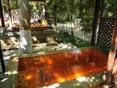 -春晖园度假酒店温泉