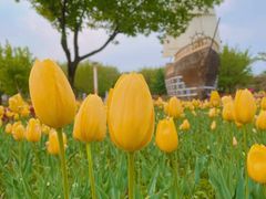 -长春公园(普阳街道)