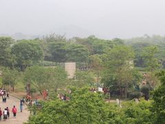 -天适樱花悠乐园