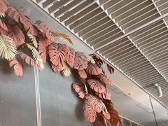 -生如夏花泰式火锅(西村黑金店)