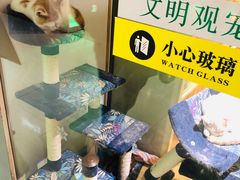 -7mall美食潮地标