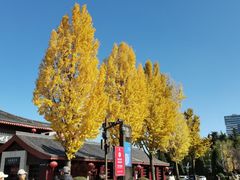 -大雁塔北广场音乐喷泉