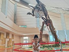 -诸城市恐龙博物馆