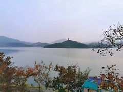 -望湖烤鱼