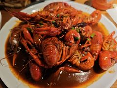 -京B·东篱精酿啤酒音乐餐厅