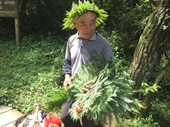 -永泰中国云顶