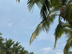 -三亚南山文化旅游区