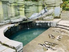 -敬亭山风景名胜区