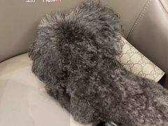 -钱塘宴(东站西子国际店)