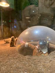 点击看大图 -宝燕乐园(闵行旗舰店)