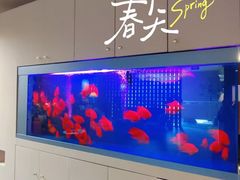 -宫七SPA·高端Massage(浦东大道店)
