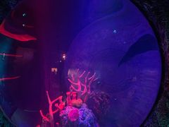 -沈阳海洋探索中心