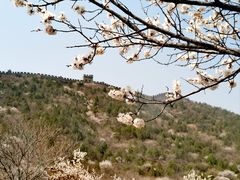 -居庸关长城