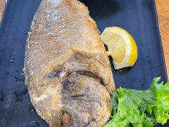 -NORDSEE Frankfurt Fisch Franke