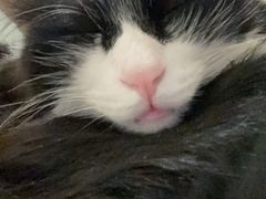 -平行世界·猫咖(首经贸店)