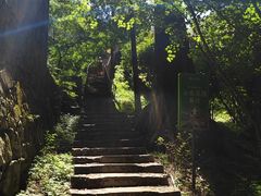 -莫干山风景区