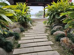 -江心屿景区