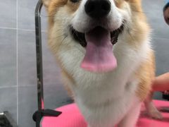 -宠福鑫康馨动物医院·骨科·眼科