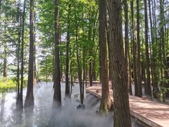 -东湖落雁景区