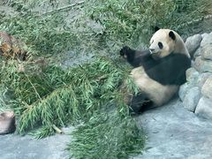 -青藏高原野生动物园