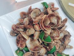 辣炒花蛤-渔民船说·北塘海鲜·天津菜·海肠捞饭(北塘古镇店)
