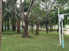 -深圳龙潭公园