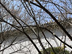 -南京市江宁方山