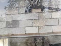 -辛玛王国游乐园