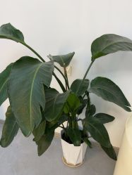 -Dr·Jane皮肤管理中心