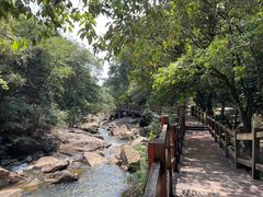 -广州白江湖森林公园