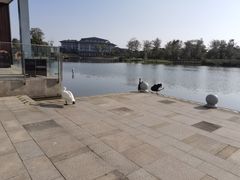 -南通滨江洲际酒店-西集自助餐厅