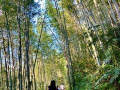 -千泷沟大瀑布旅游区