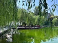 -莲湖公园