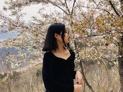 -樱花山风景区