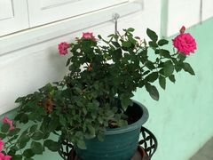 -龙环葡韵住宅式博物馆