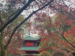 -岳麓山风景名胜区
