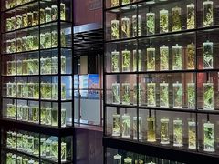 -广东中医药博物馆