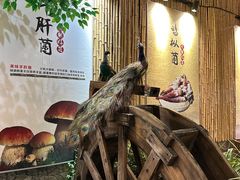 -大理董·董家小厨野生菌火锅(古城旗舰店)