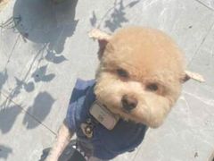 -友嘉宠物(昊元生活广场店)