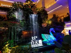 -白天鹅宾馆·流浮阁咖啡厅