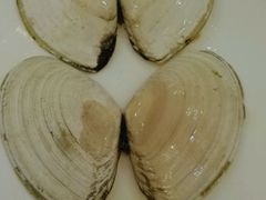 -欢乐海岸美食联盟