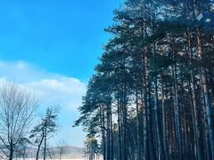 -长春净月潭风景名胜区
