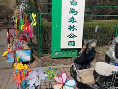 -长白岛森林公园