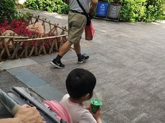 -晓港公园