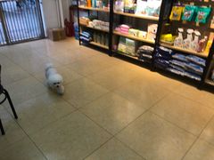 -沐沐家宠物(成寿寺店)