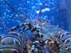 -金悦轩海鲜酒家(银河店)