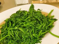 炒豌豆尖-月圆霖特色农家乐